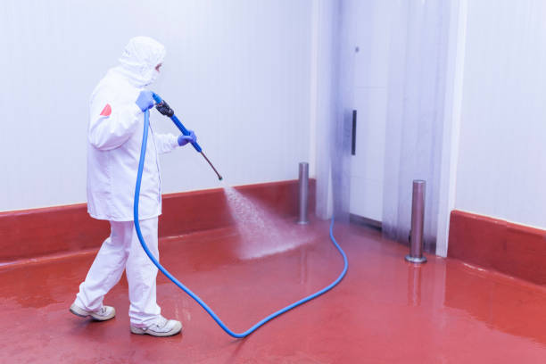 Best Boat and Dock Cleaning  in West Middlesex, PA